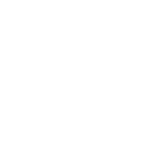 CAPITAL CONSIG LOGO